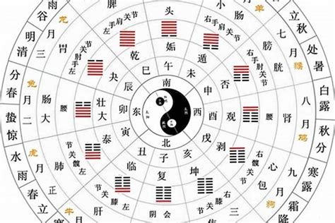 五行天干|天干地支五行对照表，了解传统文化的钥匙